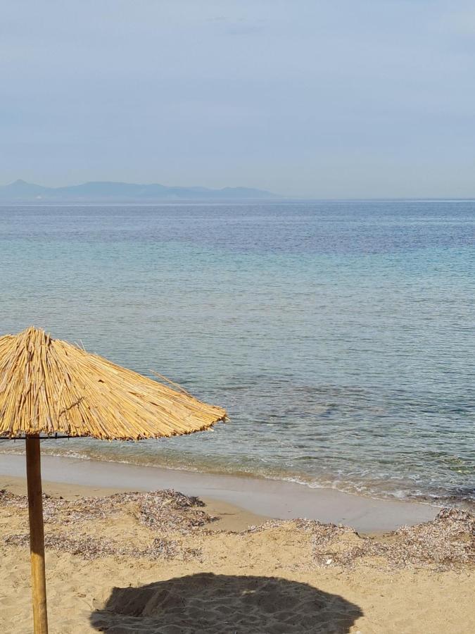 Riviera Studio Αθήνα Εξωτερικό φωτογραφία
